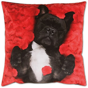 Housse de coussin Chien 2 pièces 40x40 cm