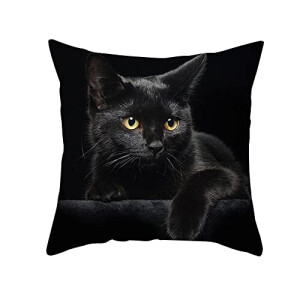 Housse de coussin Chat 45x45 cm