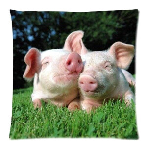 Housse de coussin Cochon 46x46 cm