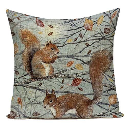 Housse de coussin Écureuil 45x45 cm variant 5 