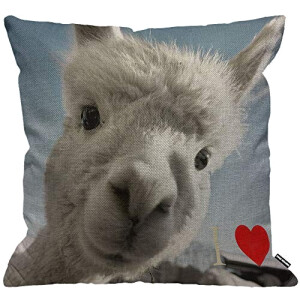 Housse de coussin Lama multi 45x45 cm