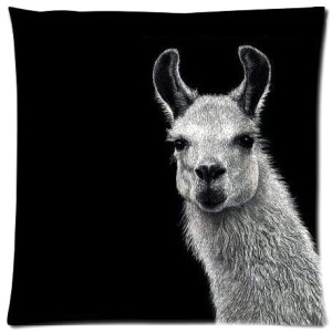 Housse de coussin Lama multicouleurouge 46x46 cm