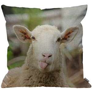 Housse de coussin Mouton multi 45x45 cm