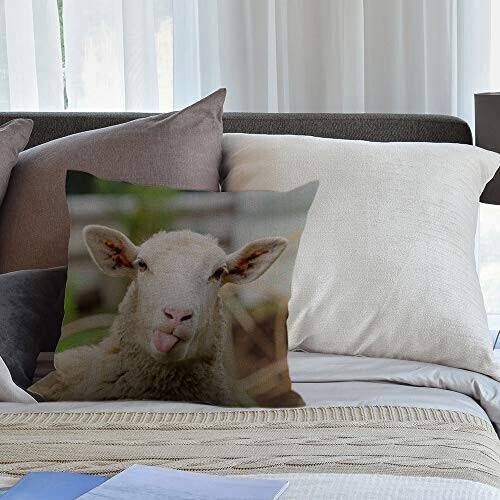 Housse de coussin Mouton multi 45x45 cm variant 3 