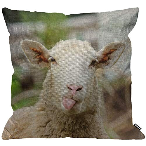 Housse de coussin Mouton multi 45x45 cm variant 6 