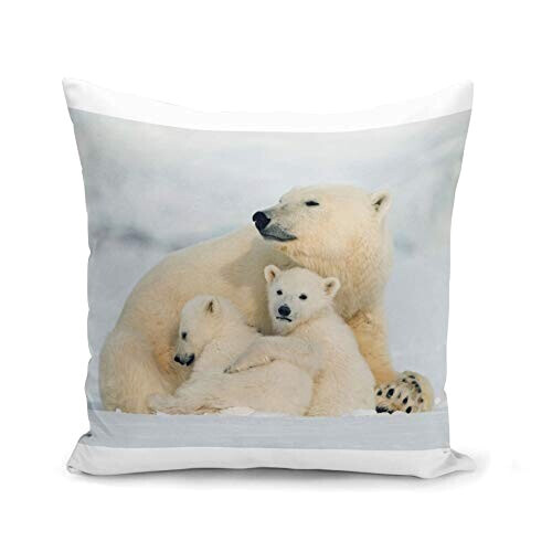 Housse de coussin Ours 40x40 cm