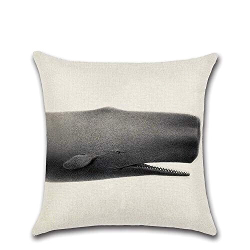 Housse de coussin Requin coton 4 pièces 45x45 cm variant 2 