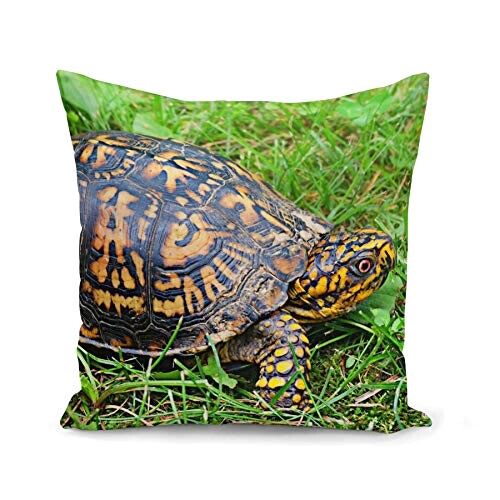 Housse de coussin Tortue 40x40 cm