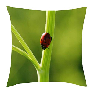 Housse de coussin Coccinelle gree 30x30 cm