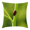 Housse de coussin Coccinelle gree 30x30 cm - miniature