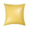 Housse de coussin Citron - miniature