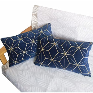 Housse de coussin bleu navy 2 pièces 30x50 cm