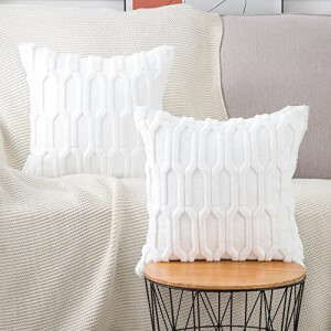Housse de coussin blanc 2 pièces 60x60 cm