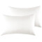 Housse de coussin beige 50x80 cm - miniature